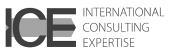 international consulting expertise